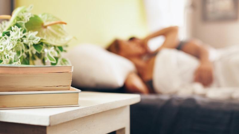 mesa com livros e planta