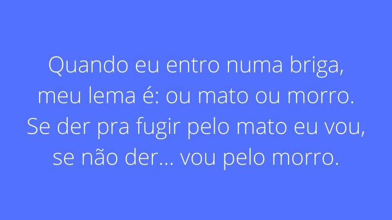 frase engraçada