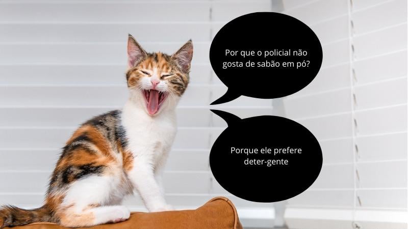 piadas do gato - policial