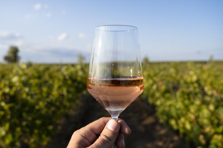 vinho rosé