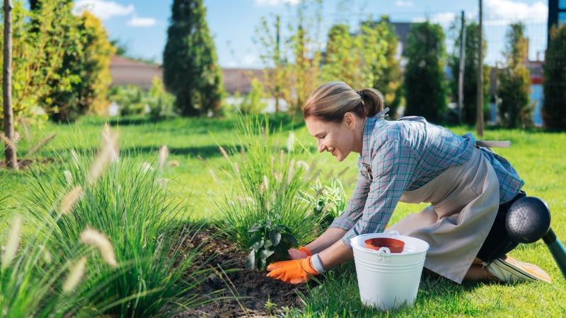 mulher cuidando de jardim