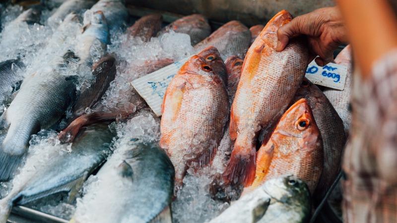 peixes frescos em uma banca na feira como saber se o peixe está fresco