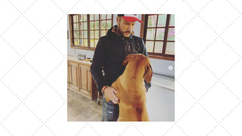 rodrigo hilbert com cachorro