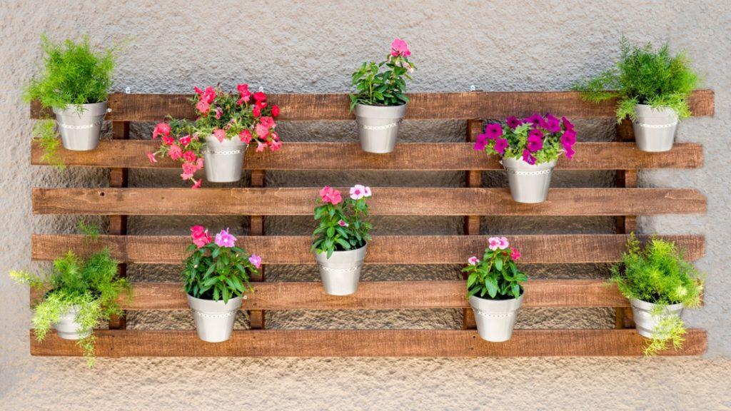 pallet com vasos de plantas