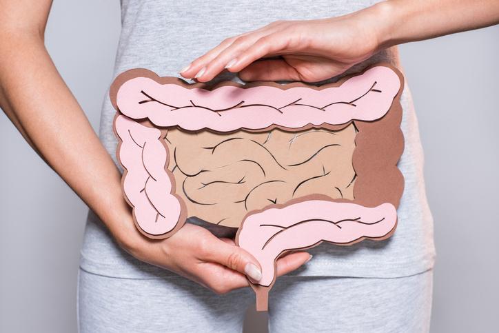 microbiota intestinal