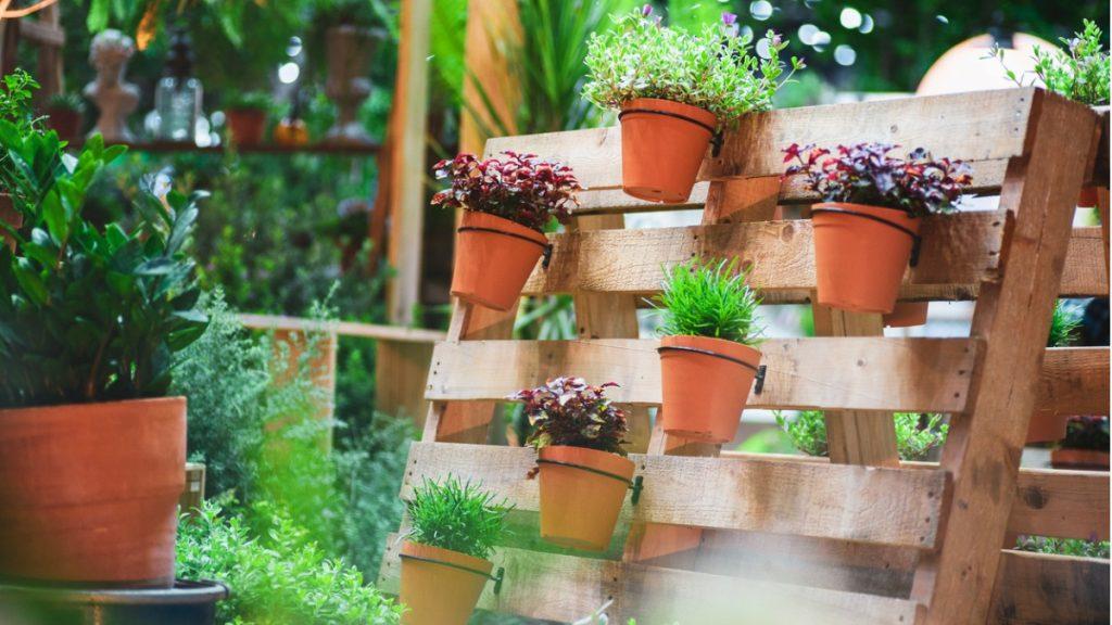 pallet com vasos de plantas