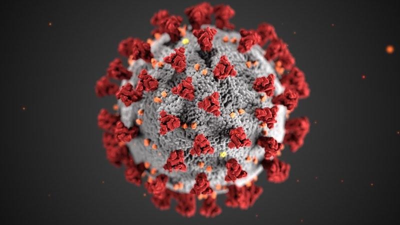 coronavirus em microscópio