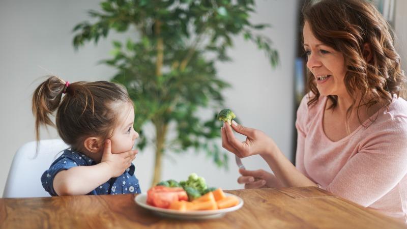 como fazer introdução alimentar