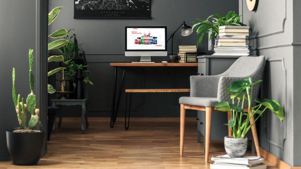 decoração com plantas para home office