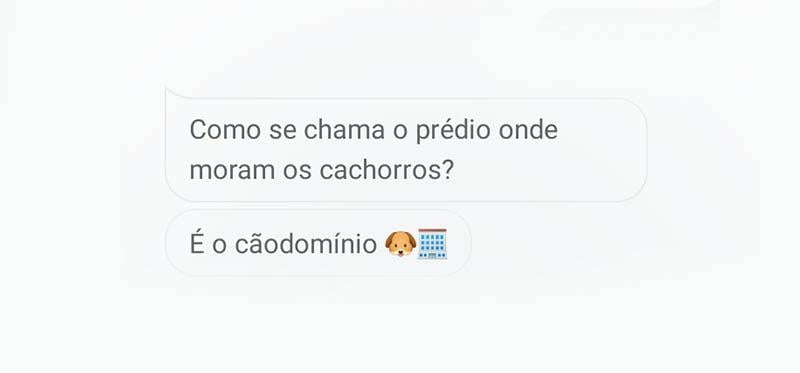 piadas do google