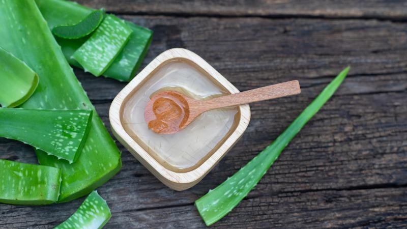 beneficios da babosa aloe vera