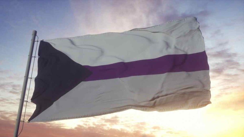 O que é demisexual ? Bandeira 